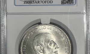 palo curvo