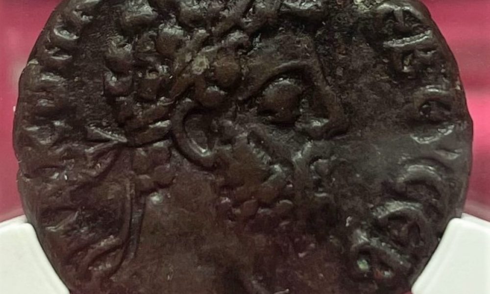 Commodo11,56grIMG_E8664 grecorromano