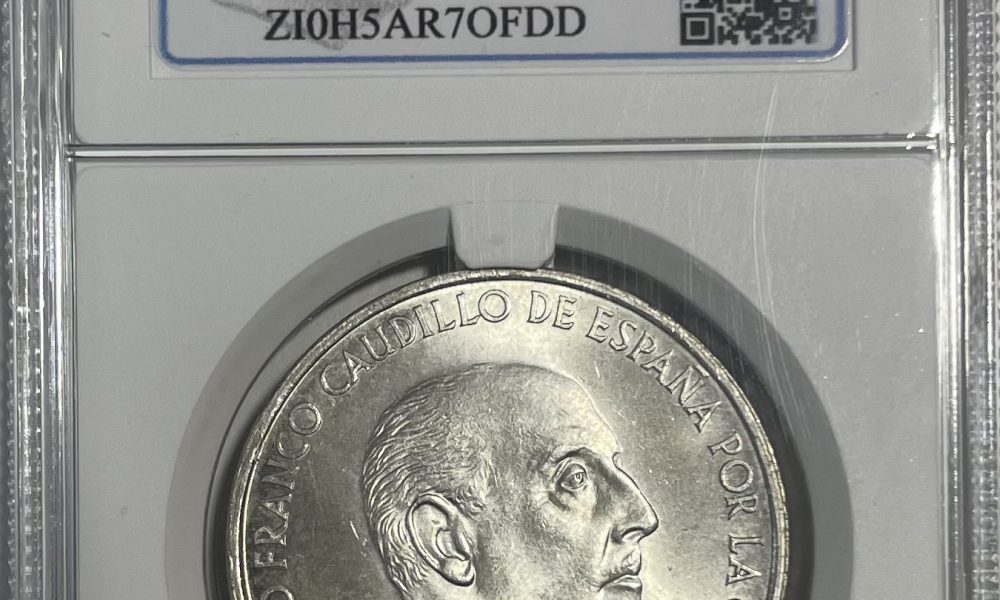 palo curvo